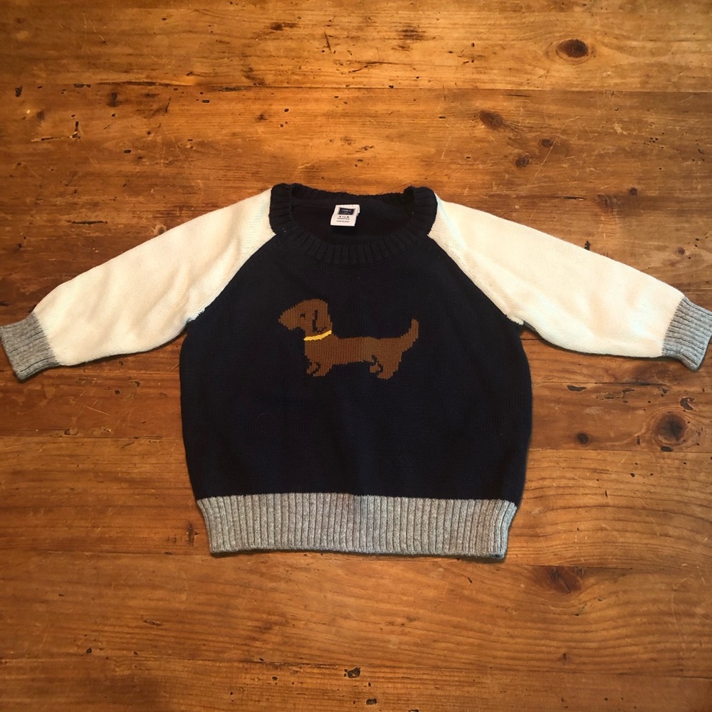 Janie and Jack Dog Sweater